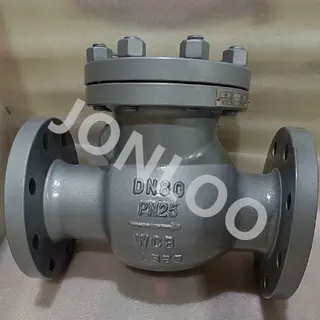 Carbon Steel Check Valve Swing Type PN25 DN80 DIN Standard